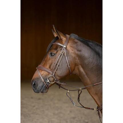 Muserolle combinée pour cheval HFI Wavy