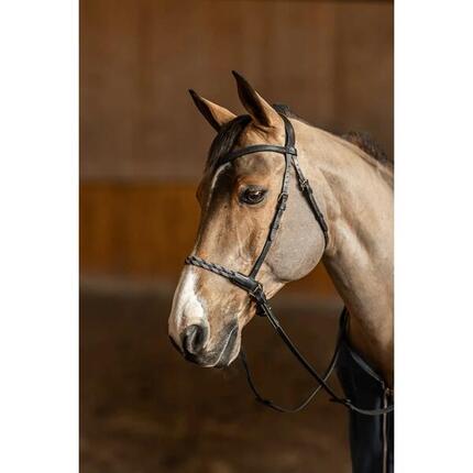 Bridon équitation anatomique sans mors HFI Freedom