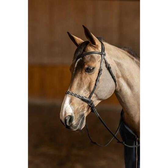 Bridon équitation anatomique sans mors HFI Freedom