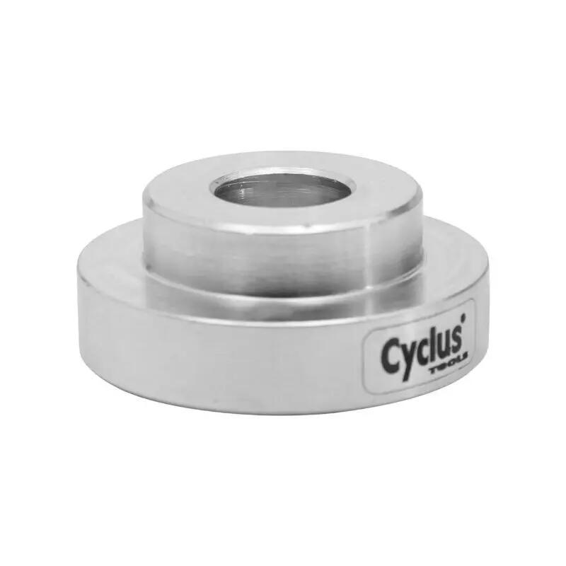 CYCLUS picture