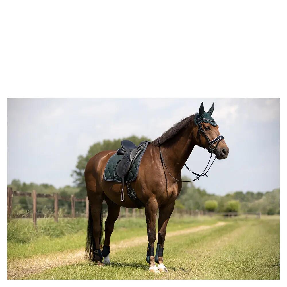 Horse tendon boots BR Equitation Event 2/7