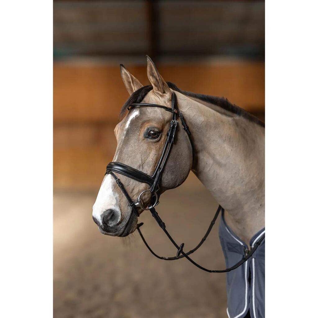 Anatomical riding bridle HFI Round