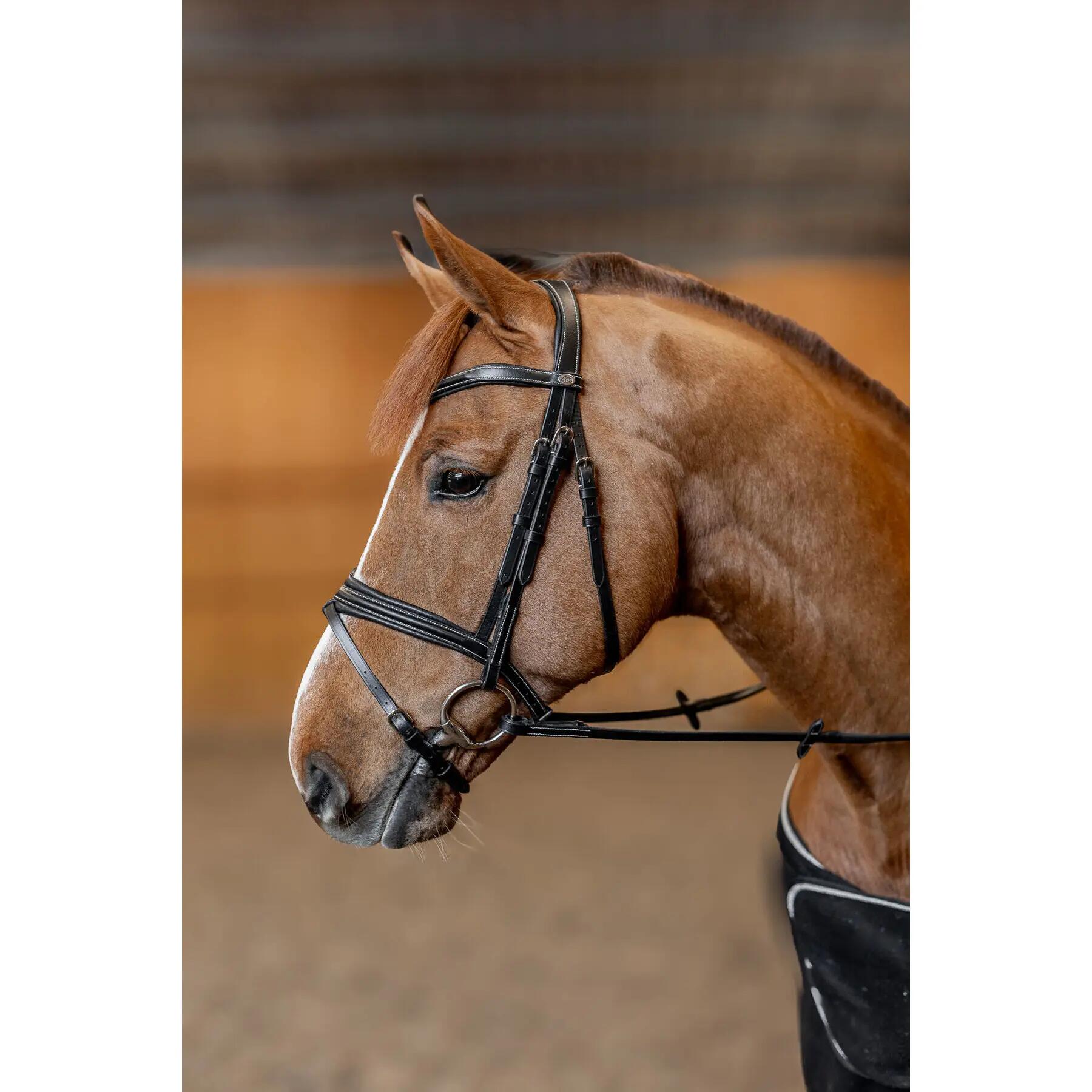 Bridon équitation anatomique HFI Padded 3/7