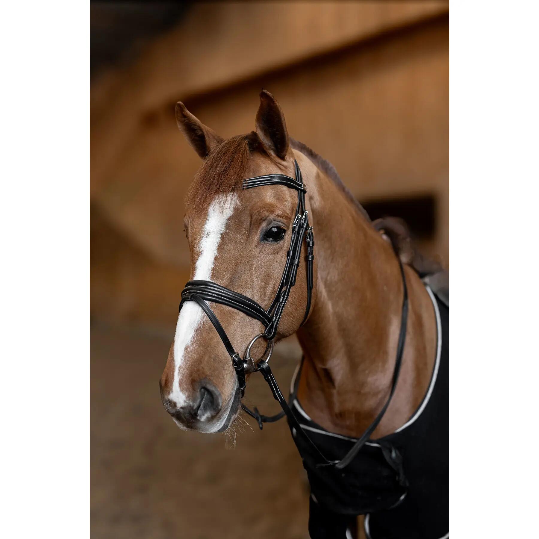 Bridon équitation anatomique HFI Padded 2/7