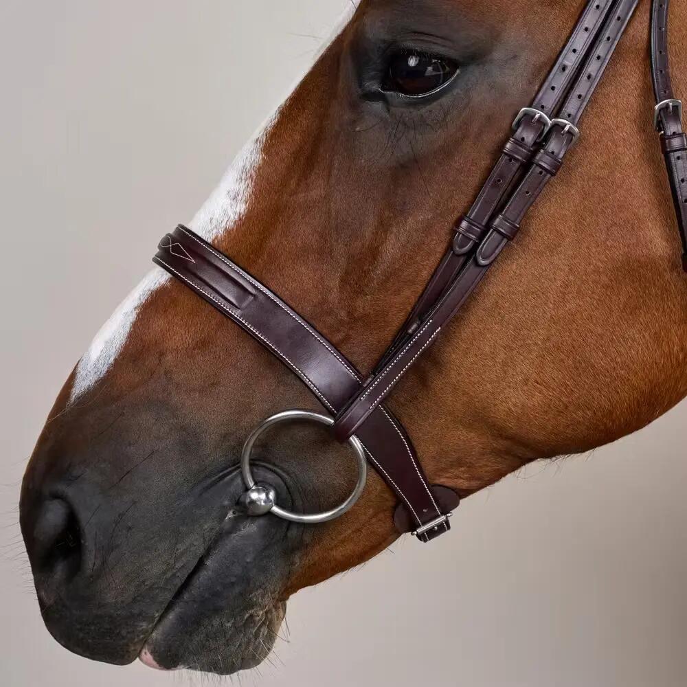 Bridone per equitazione con museruola Dy'on Cavesson Hunter US Collection 3/5