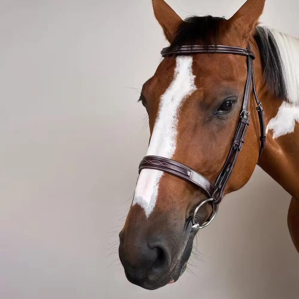 Bridone per equitazione con museruola Dy'on Cavesson Hunter US Collection 2/5