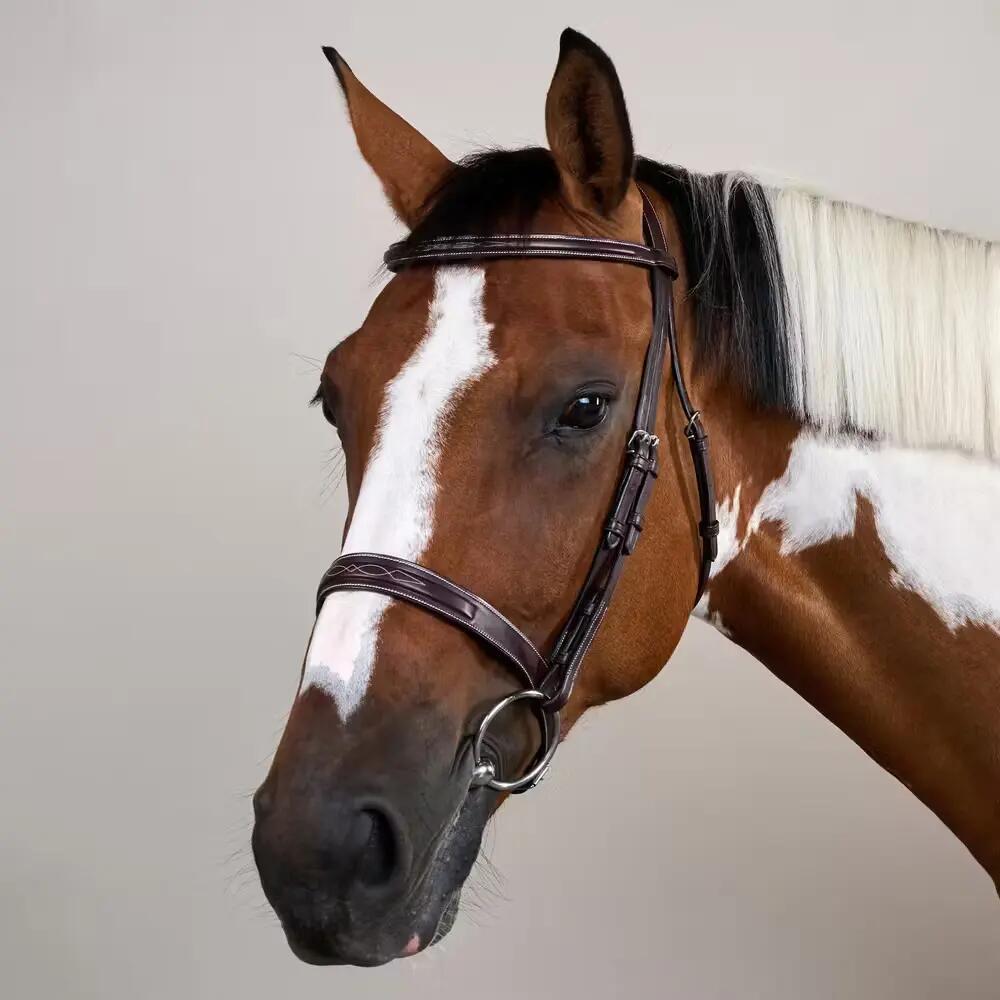 Bridone per equitazione con museruola Dy'on Cavesson Hunter US Collection 5/5