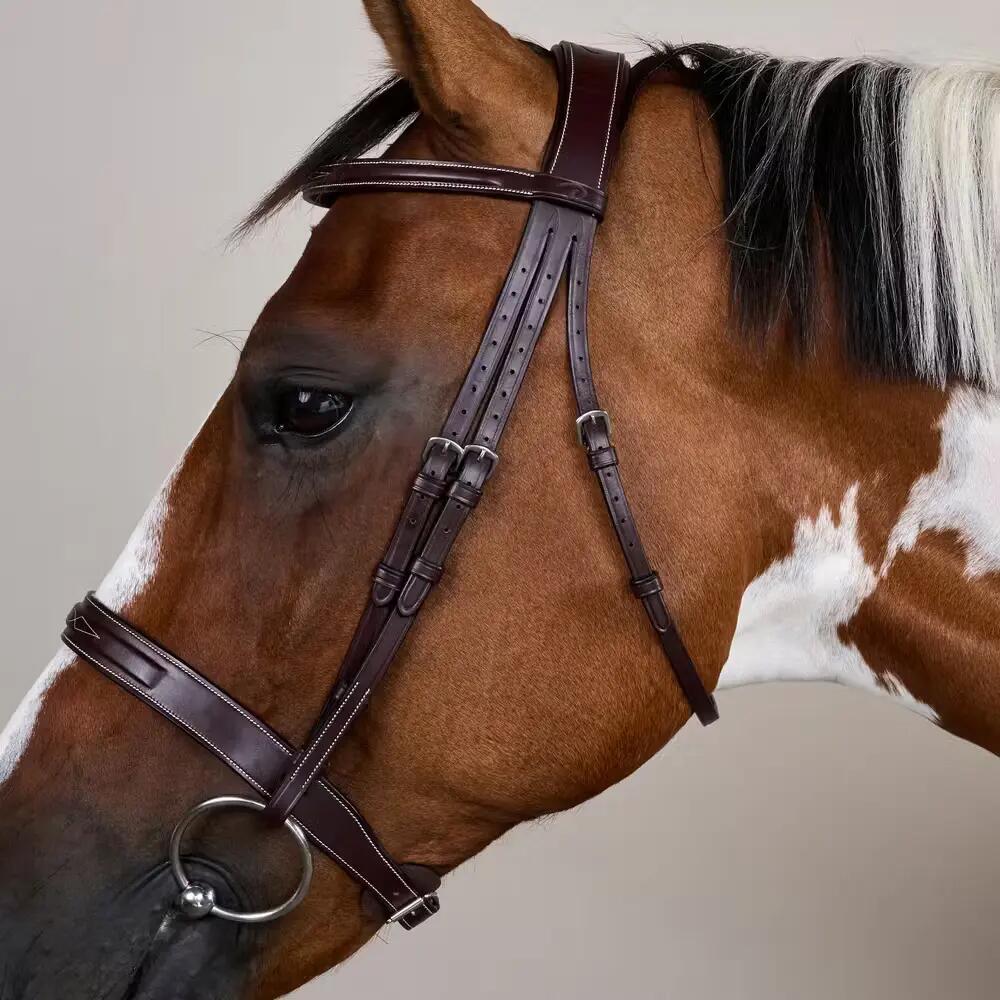 Bridone per equitazione con museruola Dy'on Cavesson Hunter US Collection 4/5