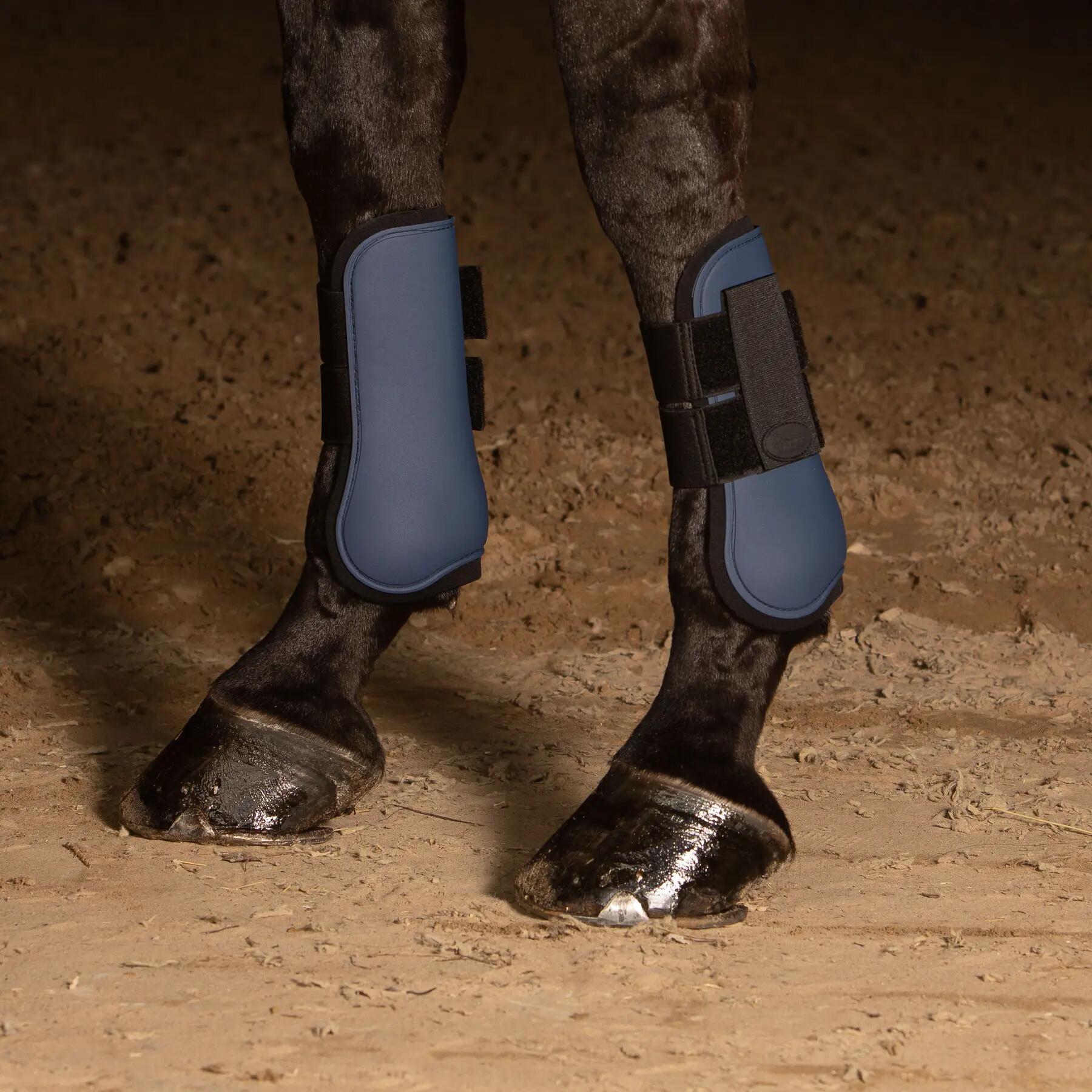 Basic horse tendon protector Harry's Horse 2/2