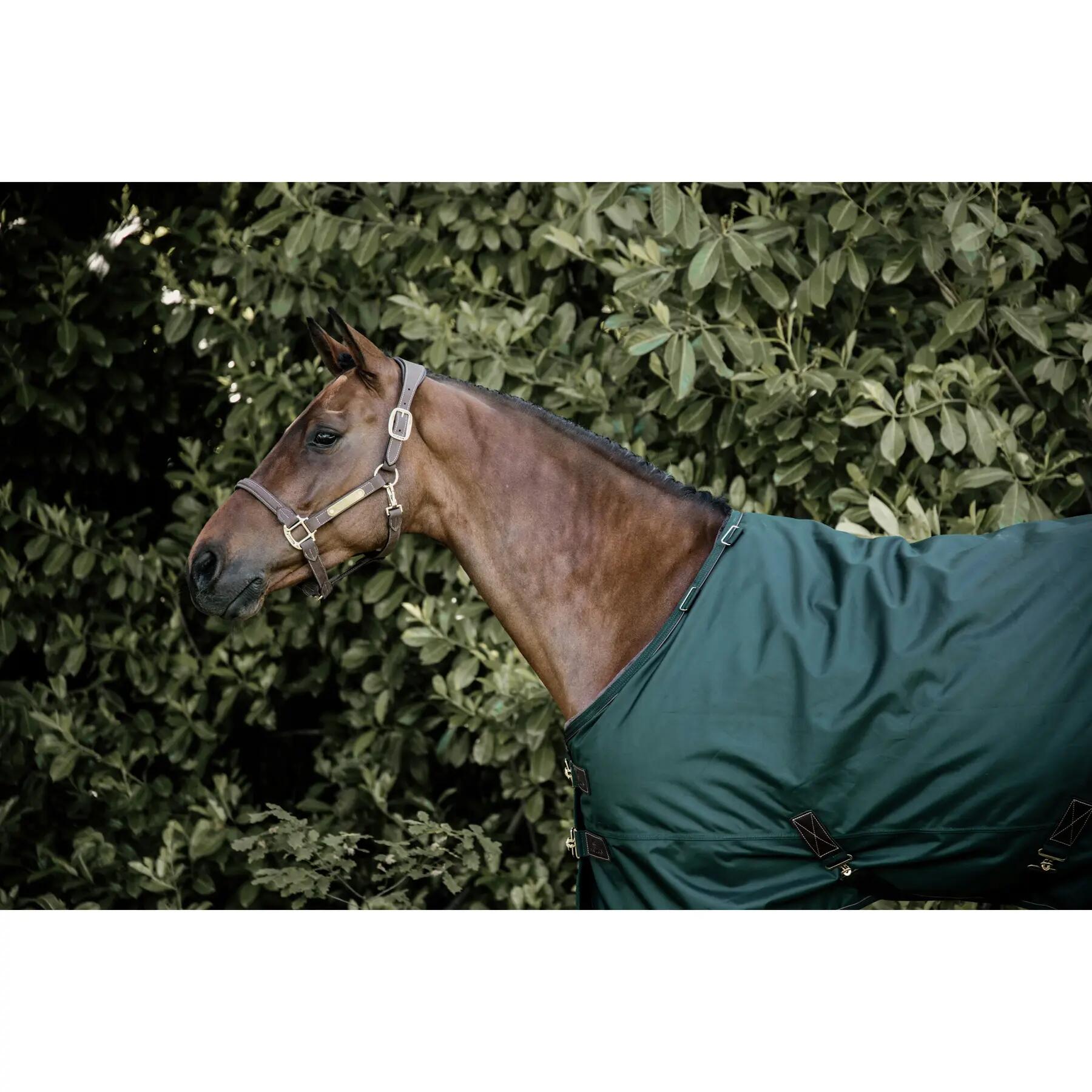 Coperta impermeabile da esterno Kentucky All Weather Pro 160 g 2/5