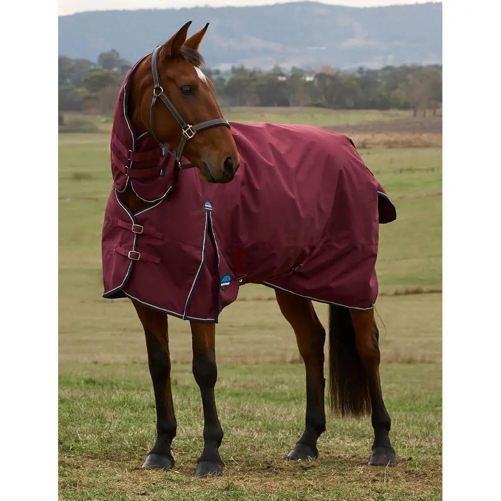 Couverture d'extérieur pour cheval Weatherbeeta Comfitec Prelim Combo 220g 2/5