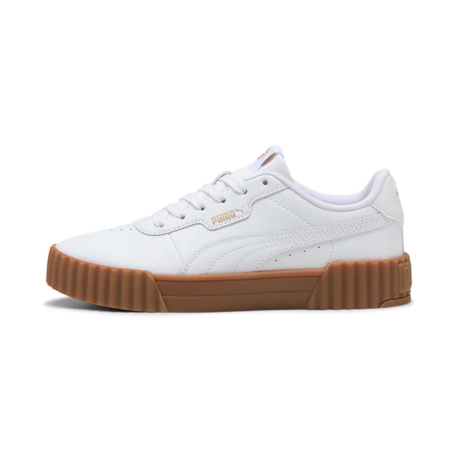 PUMA picture