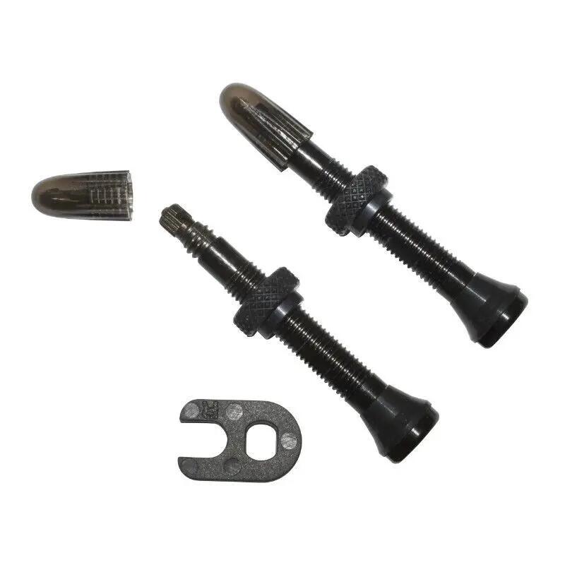SCHWALBE picture