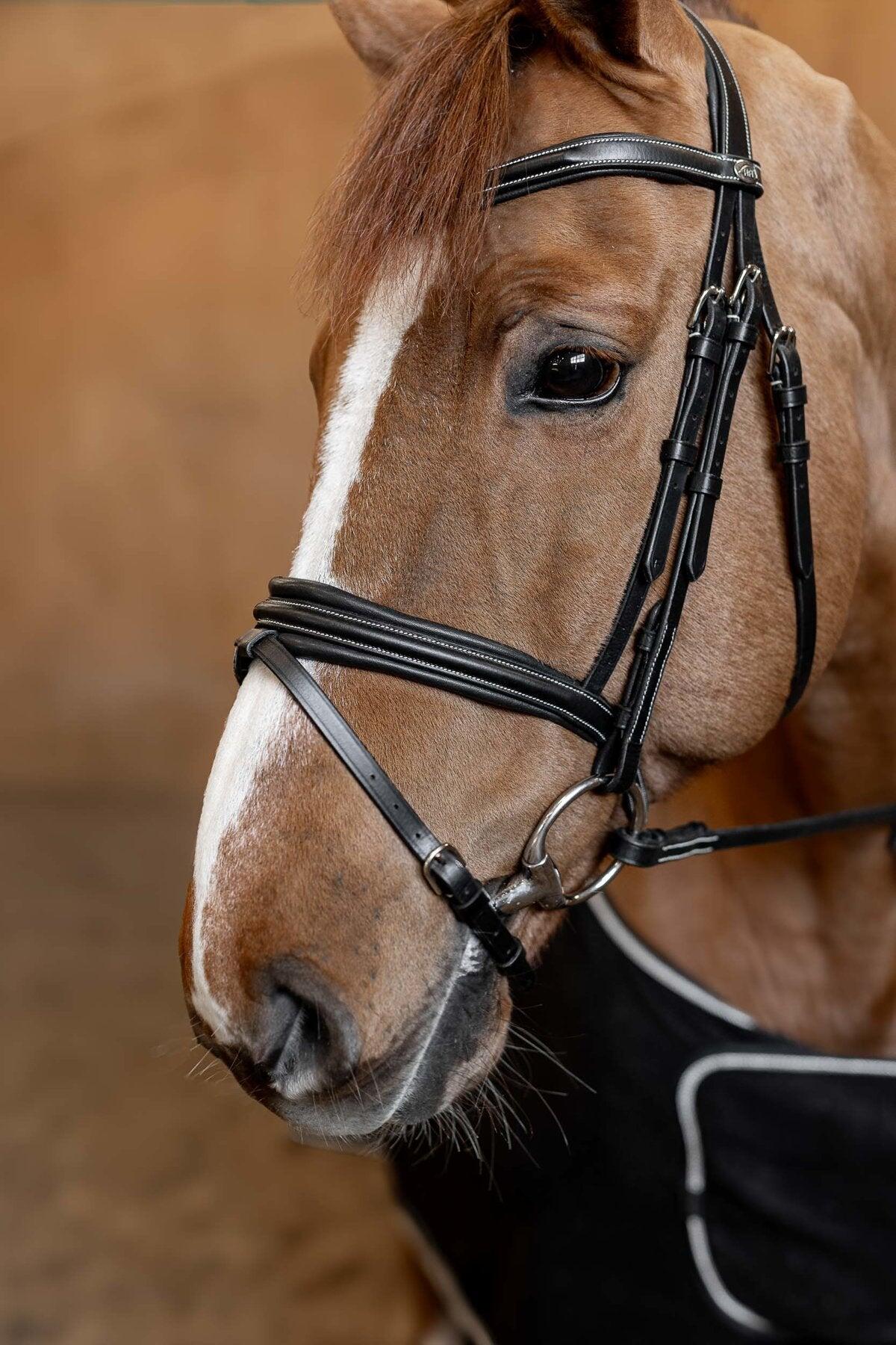 Muserolle combinée pour cheval HFI Wavy 4/7