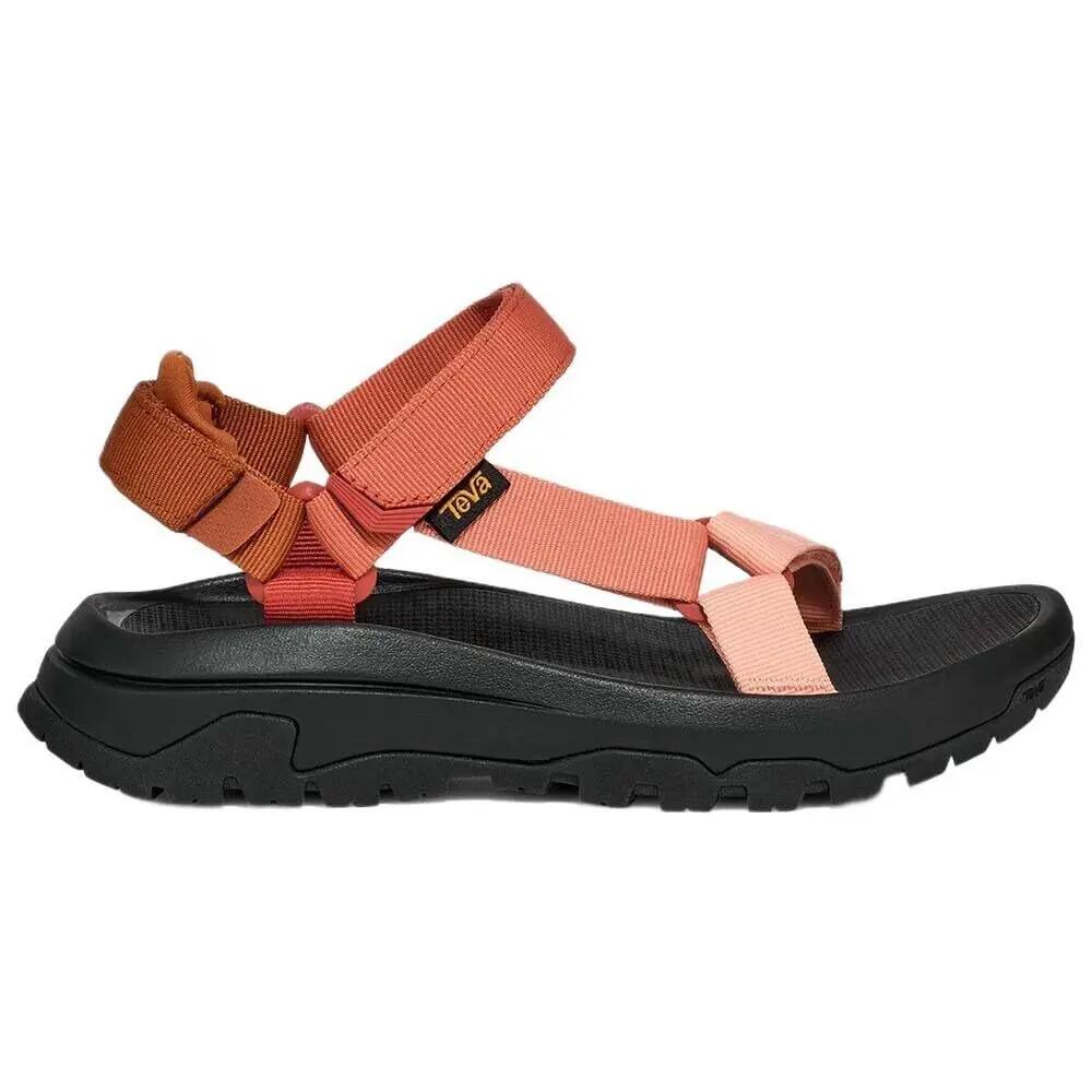 TEVA picture