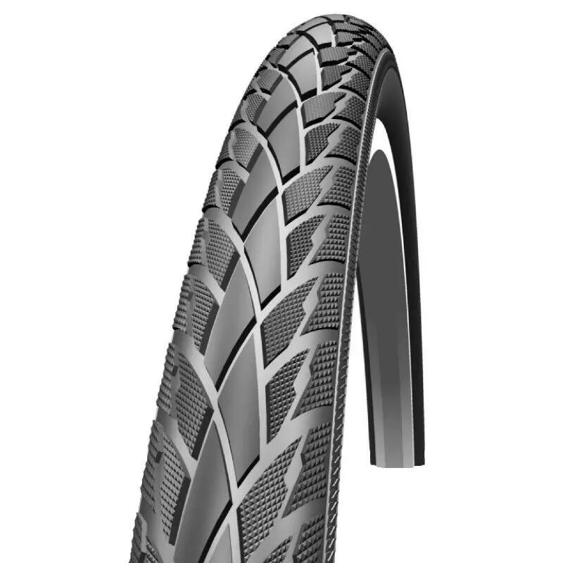 SCHWALBE picture