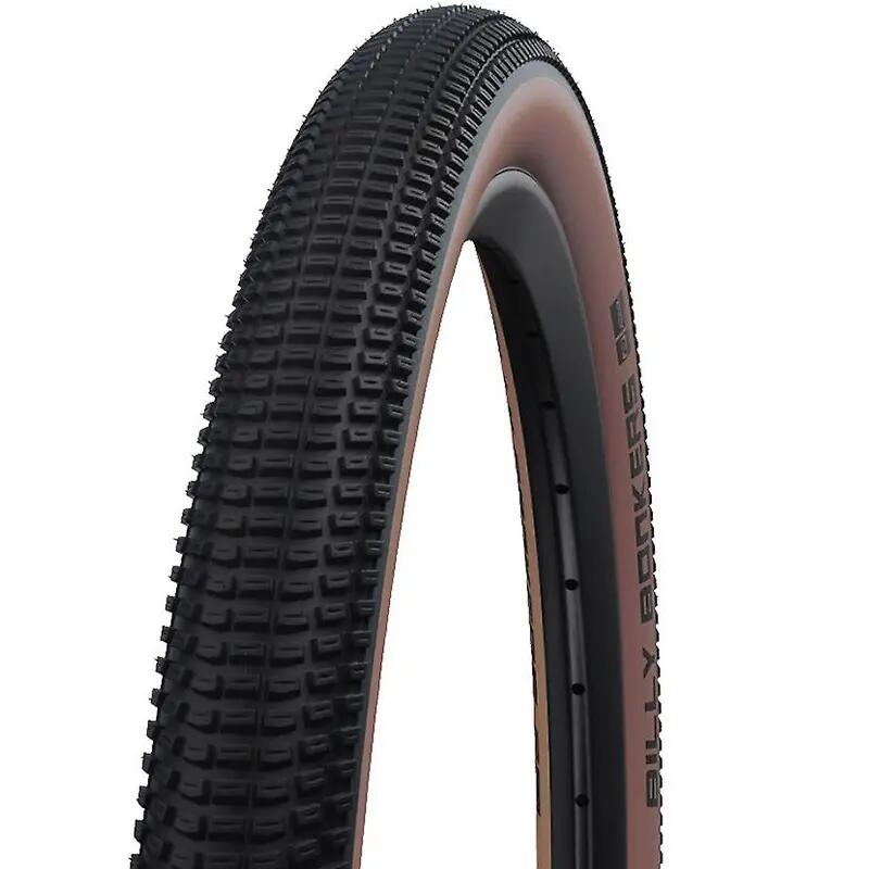 SCHWALBE picture