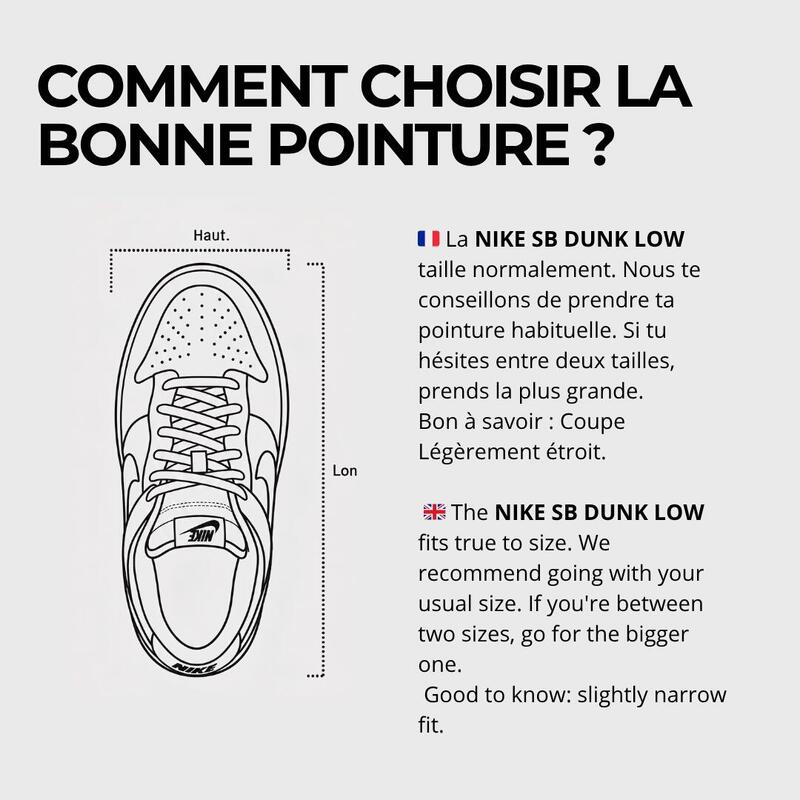 Sneakers Nike Nike Sb Dunk Low Pro