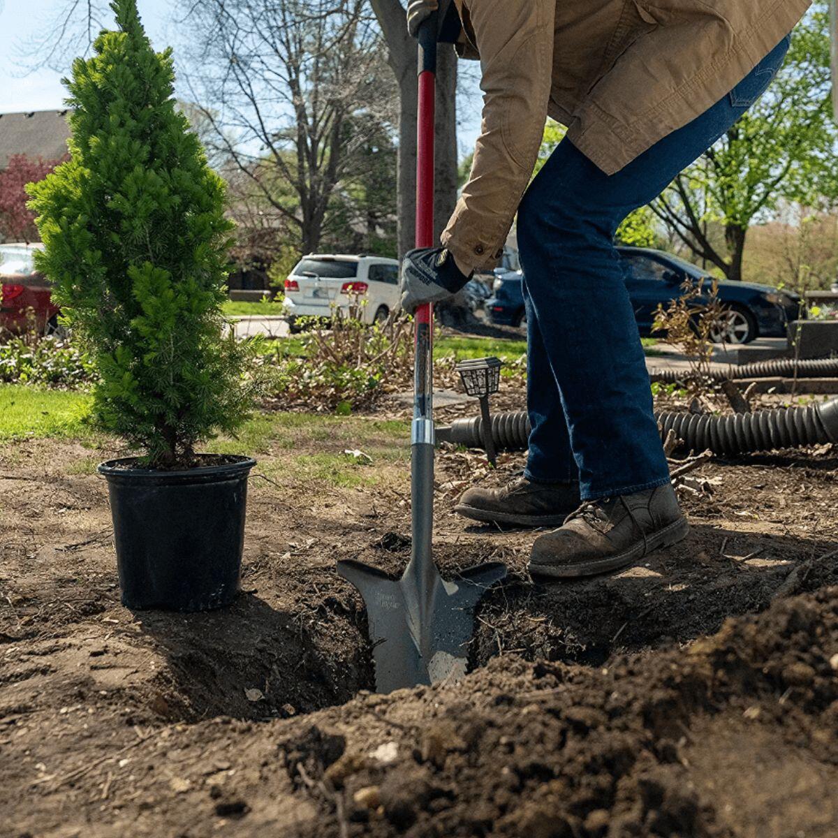 Root Slayer XL – Pala de jardín multifunción ( pala + sierra ) 4/5