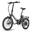 Bicicletă electrică pliabilă FAFREES F20 Light, 250 W, baterie de 16,75 Ah