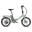 Bicicletă electrică pliabilă FAFREES F20 Light, 250 W, baterie de 16,75 Ah
