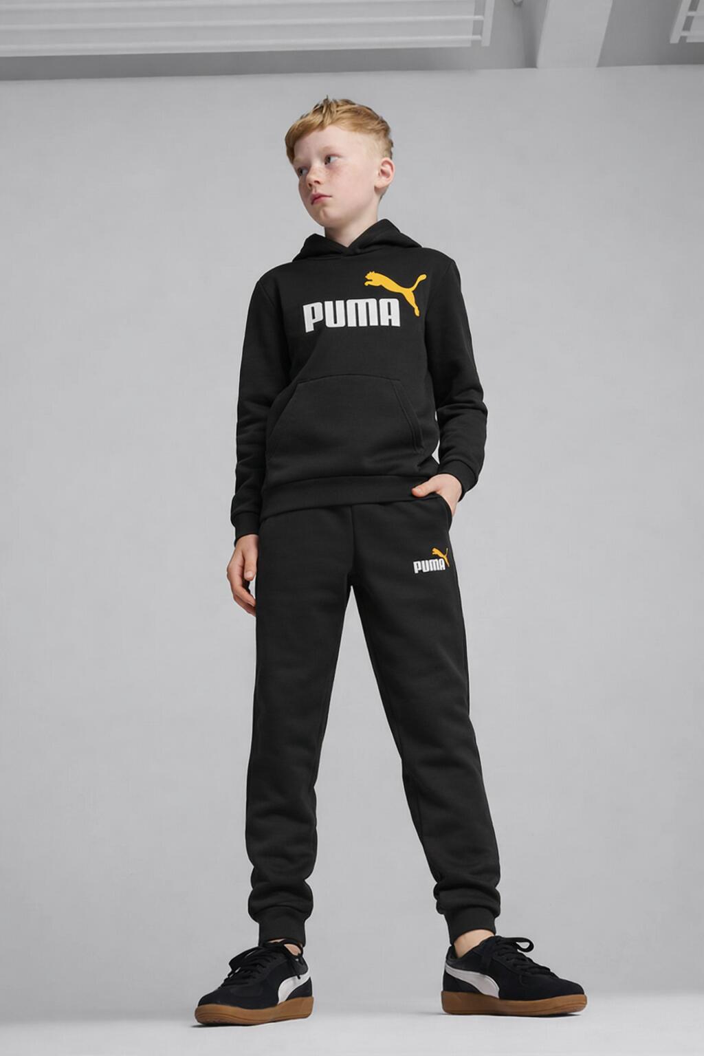 PUMA picture