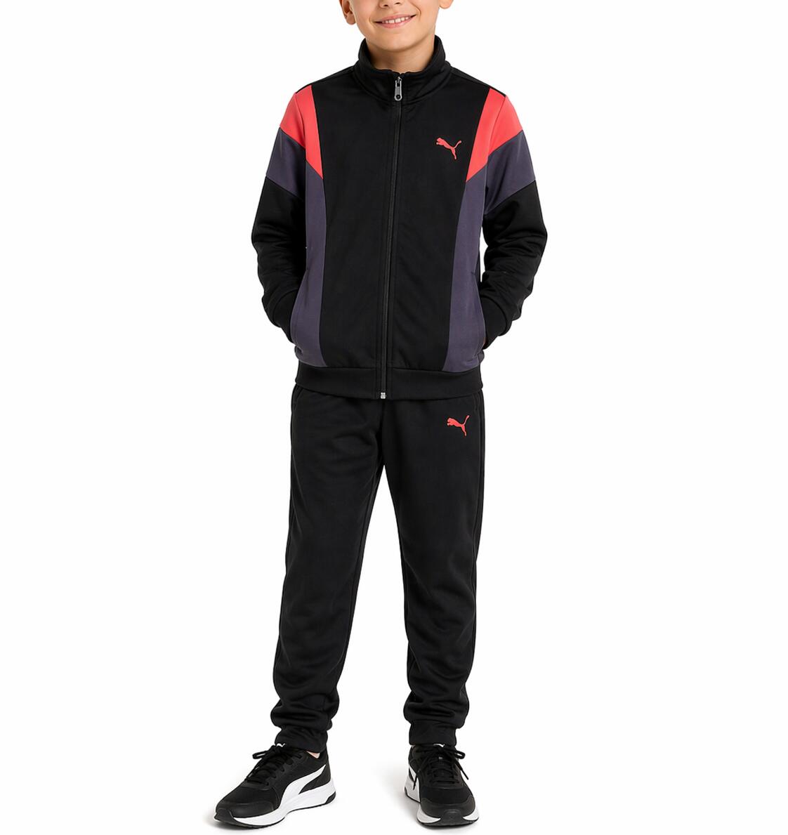 PUMA picture
