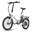 Bicicletă electrică pliabilă FAFREES F20 Light, 250 W, baterie de 16,75 Ah