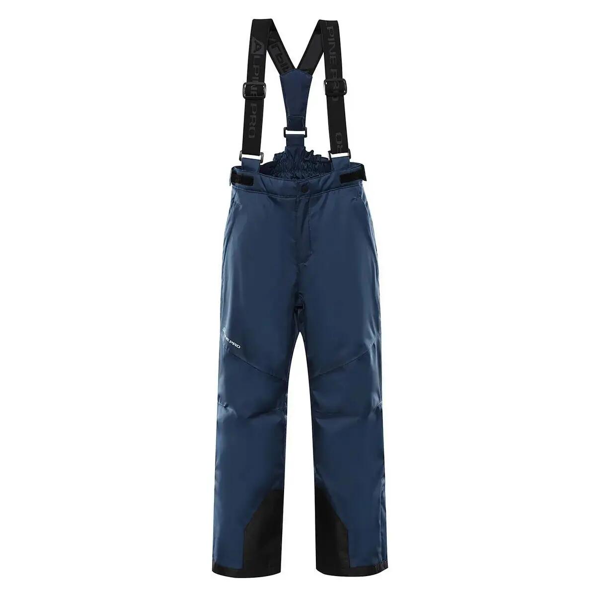 ALPINE PRO picture
