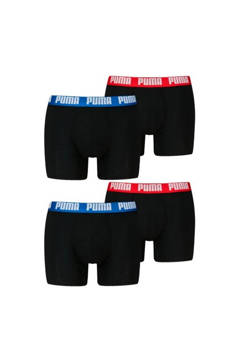 PUMA picture