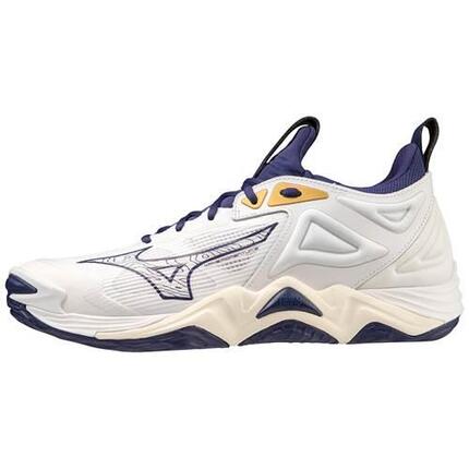 Chaussures volleyball hommes Mizuno Wave Momentum 3 45