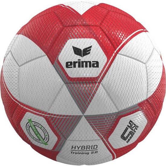 Erima Hybrid Training 2.0 Rouge/Silver Taille 5