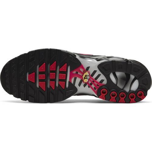 Chaussures universel hommes Nike Air Max Plus 4/4