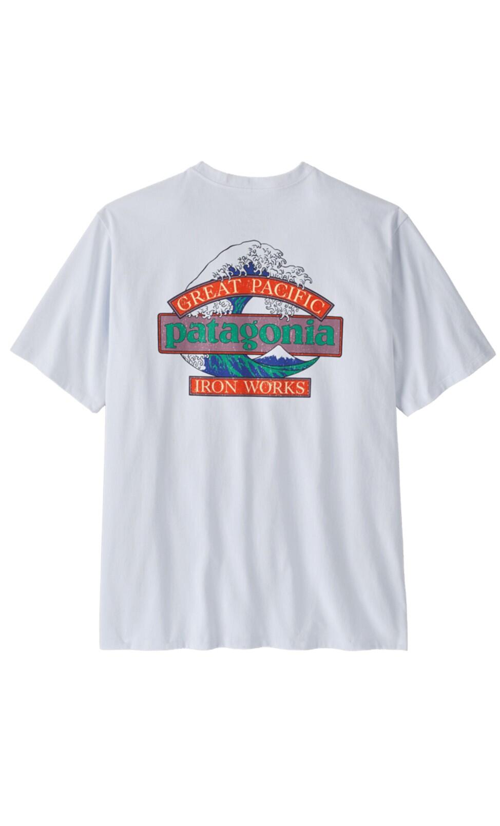 PATAGONIA picture