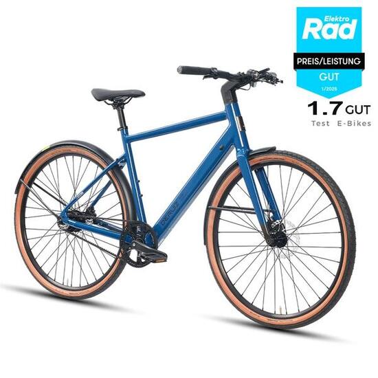 Turmali Ebike 28 Zoll 250W Motor 360Wh Akku mit Gates Riemenantrieb, 18Kg E-Bike