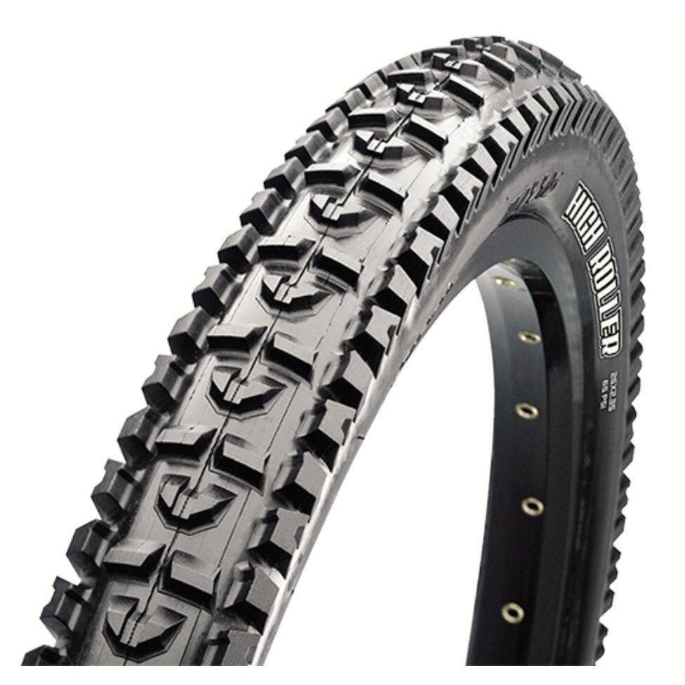 SCHWALBE picture