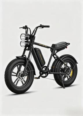 Engwe m20 elektrische fiets (versie met één accu)