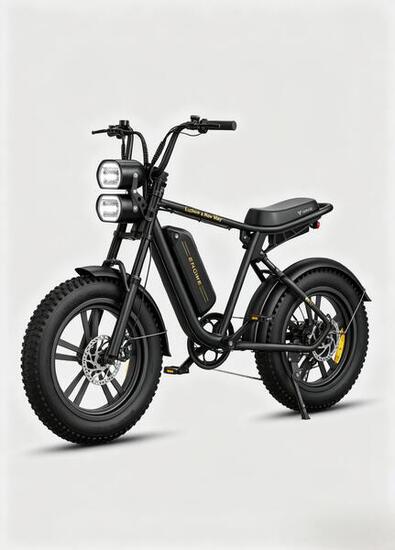 Vélo électrique ENGWE M20 (Version à batterie unique)