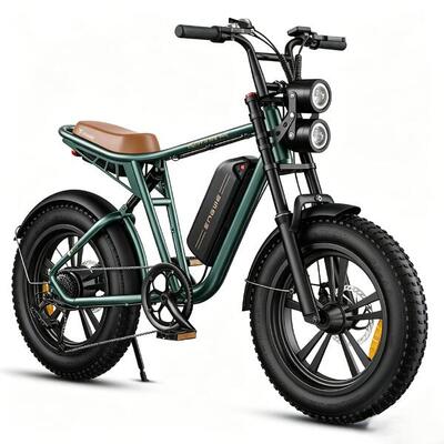 Engwe m20 elektrische fiets (versie met één accu)