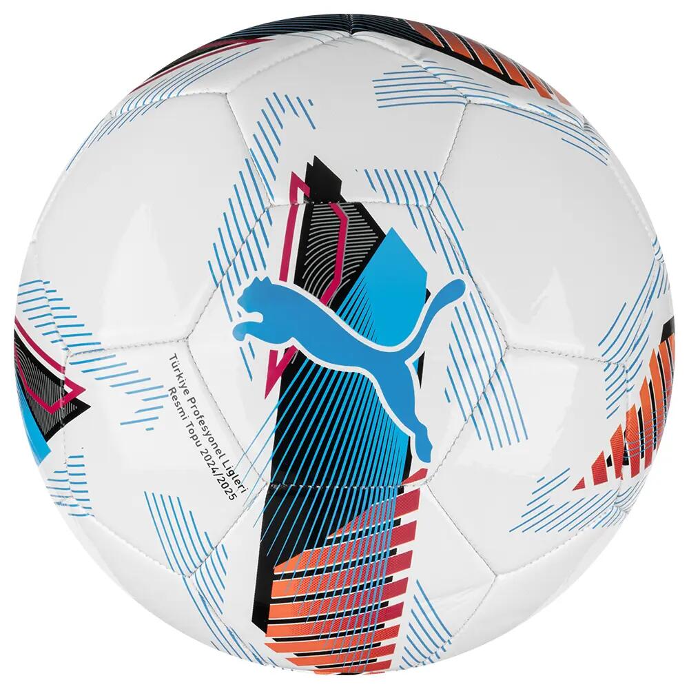 PUMA picture