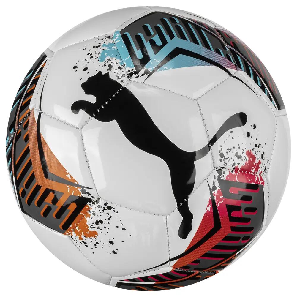 PUMA picture