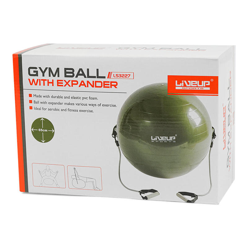 Liveup LS3227 65 cm Lastikli Pilates Topu
