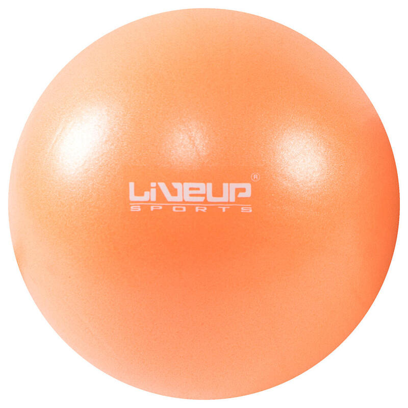 Liveup LS3225 25 cm Mini Pilates Topu