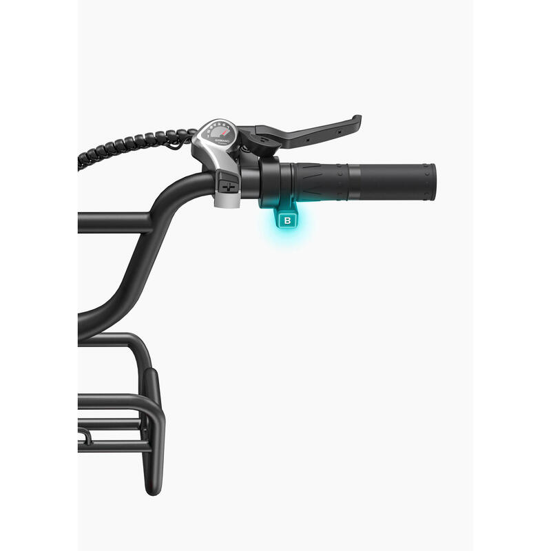 ENGWE L20 Boost Bicicletă electrică Step-Thru cu anvelope groase