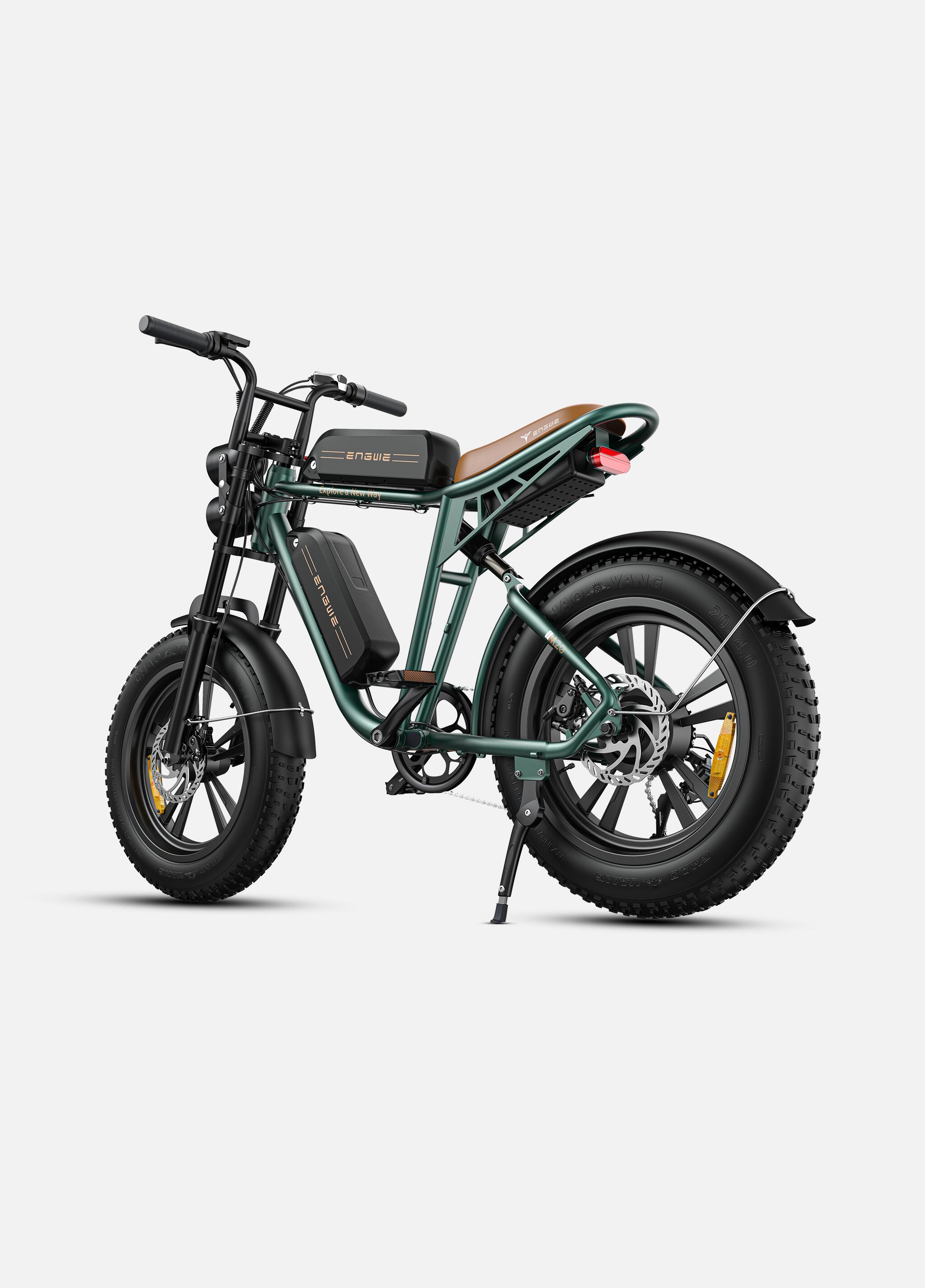 Bicicleta Eléctrica ENGWE M20, Neumáticos Anchos, Shimano, Todoterreno, Doble Ba 3/7