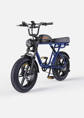 Engwe m1 elektrische fiets voor volwassenen, brede banden, mountainbike/offroad