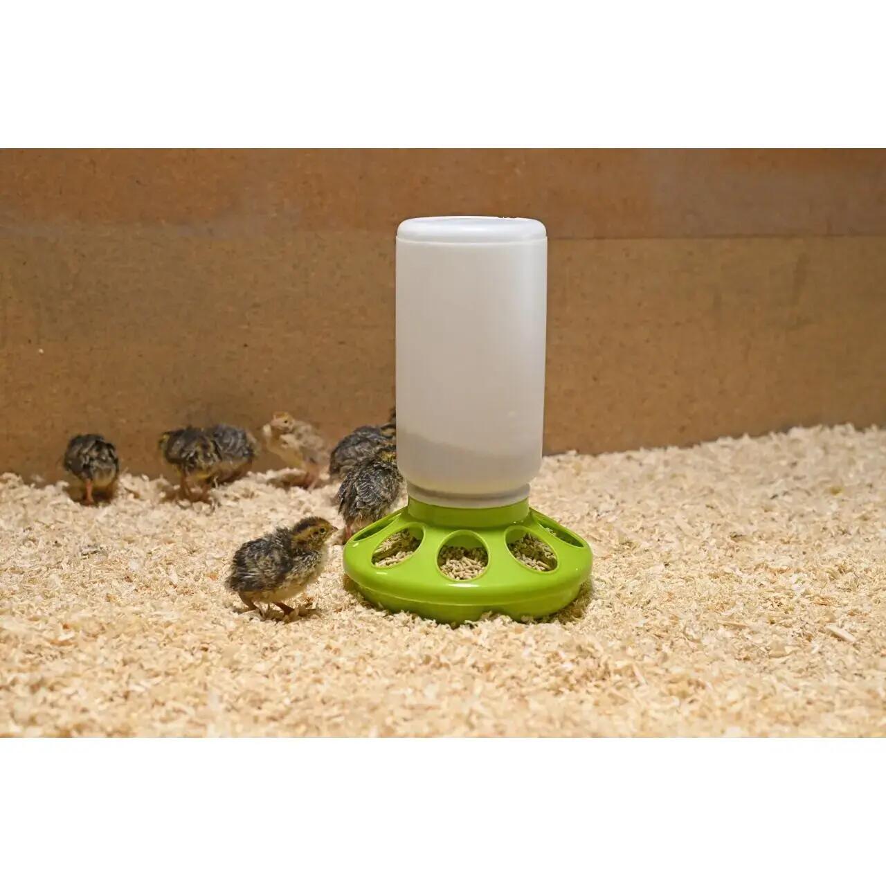 Automatic quail feeder Kerbl 2/2