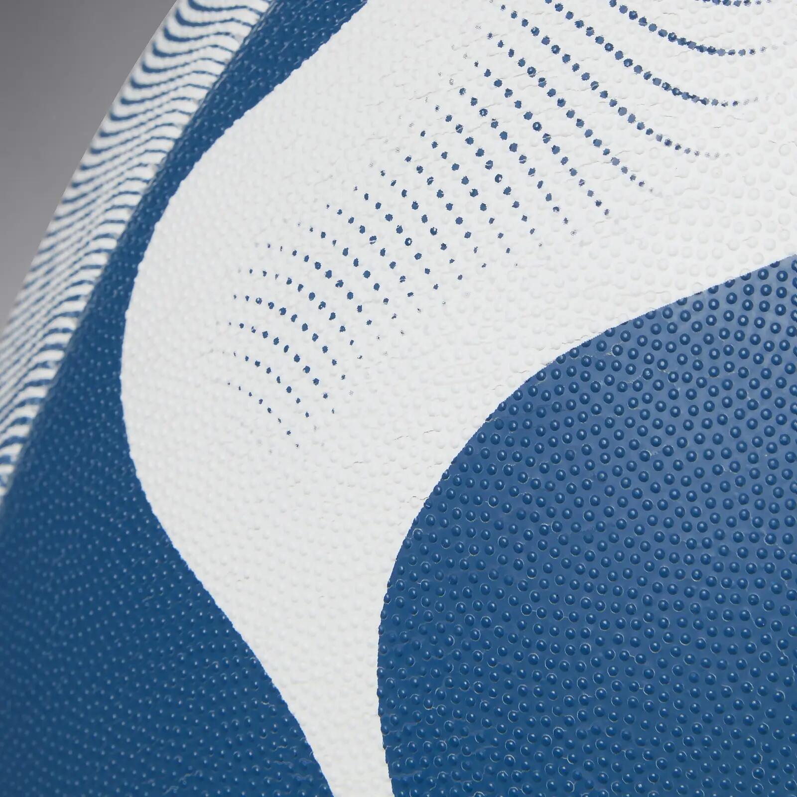 Ball Canterbury Thrillseeker 7/7
