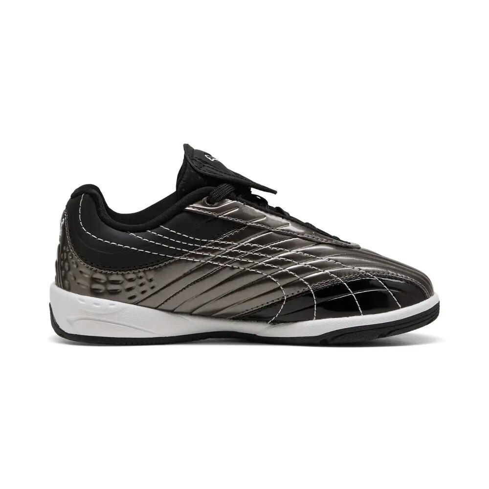 PUMA picture
