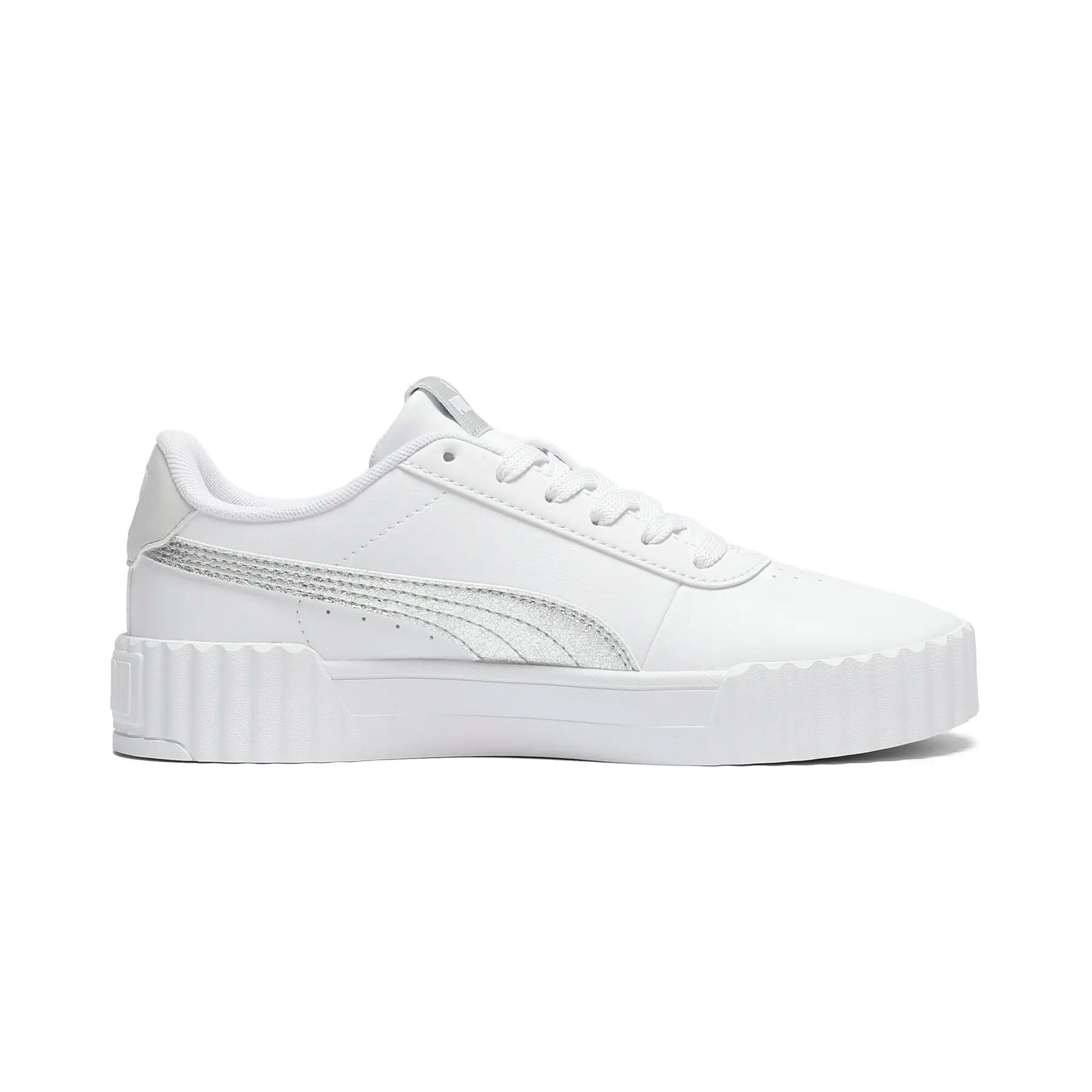 PUMA picture
